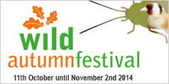Wild Autumn Festival -11th October - 2nd November 2014