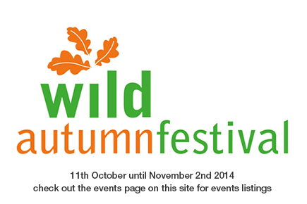 Wild Autumn Festival